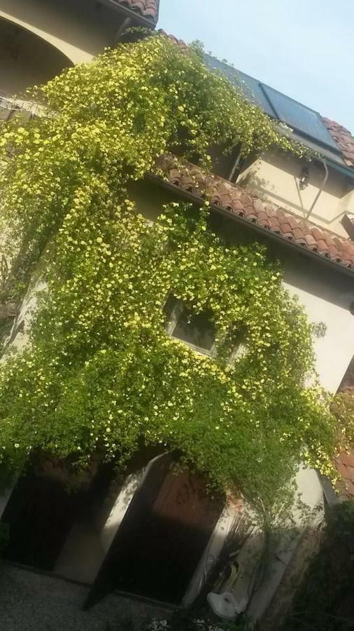 Lunesco Alloggio Divino, Chambre D'Amis Lu (Piedmont) Екстериор снимка